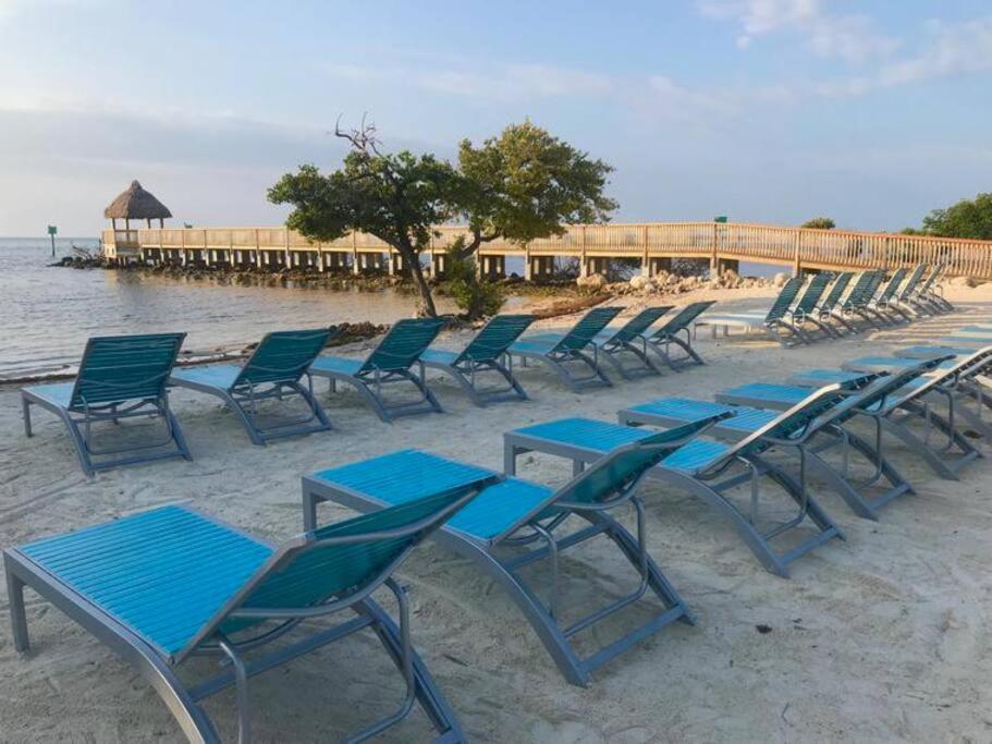 Welcome To The Pelican Lodge ! Tavernier Exteriér fotografie